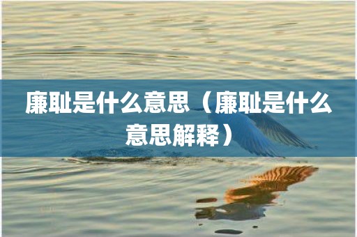 廉耻是什么意思（廉耻是什么意思解释）