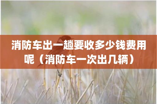 消防车出一趟要收多少钱费用呢（消防车一次出几辆）