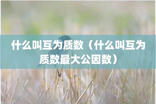 什么叫互为质数（什么叫互为质数最大公因数）