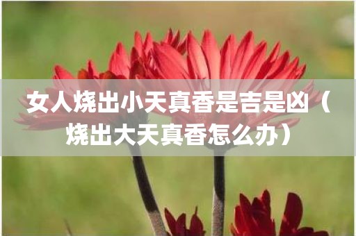 女人烧出小天真香是吉是凶（烧出大天真香怎么办）