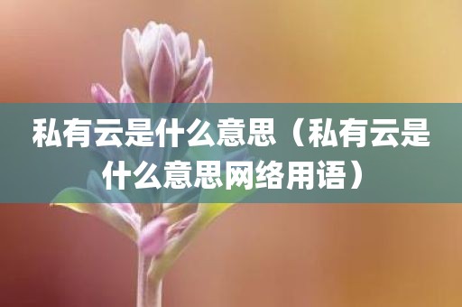 私有云是什么意思（私有云是什么意思网络用语）
