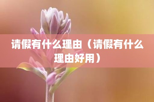 请假有什么理由（请假有什么理由好用）