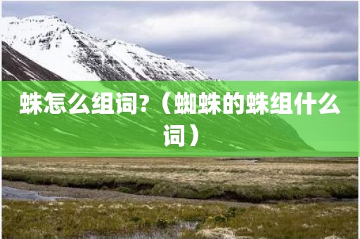 蛛怎么组词?（蜘蛛的蛛组什么词）