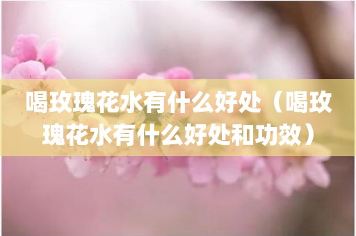 喝玫瑰花水有什么好处（喝玫瑰花水有什么好处和功效）