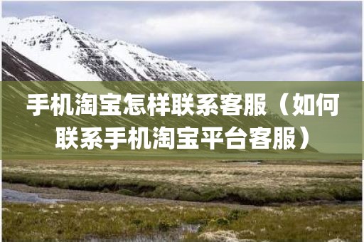 手机淘宝怎样联系客服（如何联系手机淘宝平台客服）