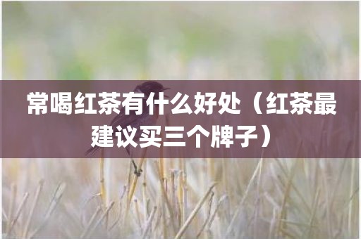 常喝红茶有什么好处（红茶最建议买三个牌子）