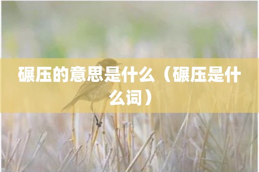 碾压的意思是什么（碾压是什么词）