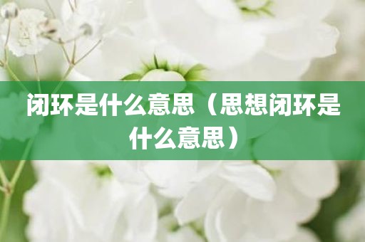 闭环是什么意思（思想闭环是什么意思）