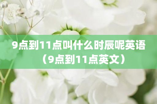 9点到11点叫什么时辰呢英语（9点到11点英文）