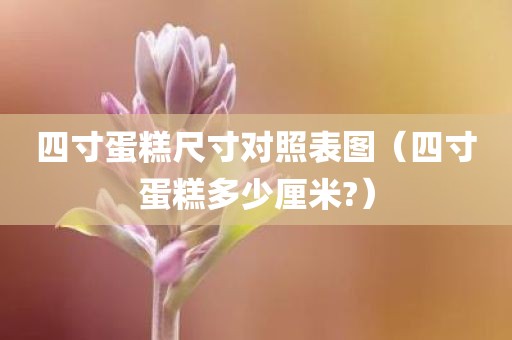四寸蛋糕尺寸对照表图（四寸蛋糕多少厘米?）