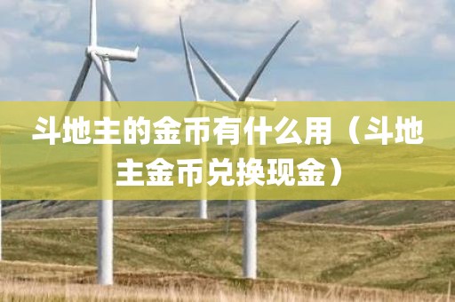 斗地主的金币有什么用（斗地主金币兑换现金）