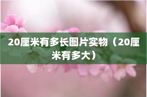 20厘米有多长图片实物（20厘米有多大）