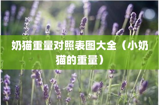 奶猫重量对照表图大全（小奶猫的重量）