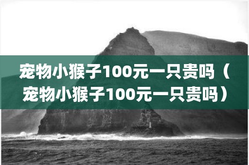 宠物小猴子100元一只贵吗（宠物小猴子100元一只贵吗）