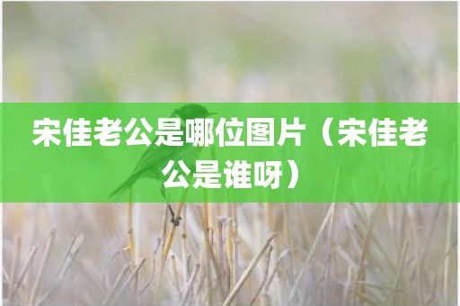 宋佳老公是哪位图片（宋佳老公是谁呀）