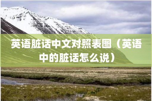 英语脏话中文对照表图（英语中的脏话怎么说）