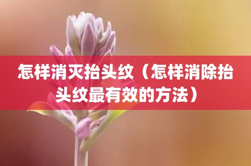 怎样消灭抬头纹（怎样消除抬头纹最有效的方法）