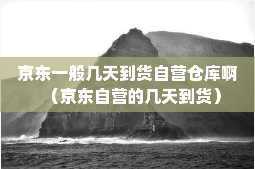京东一般几天到货自营仓库啊（京东自营的几天到货）