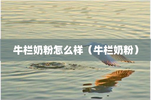 牛栏奶粉怎么样(牛栏奶粉)