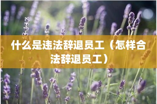 什么是违法辞退员工（怎样合法辞退员工）