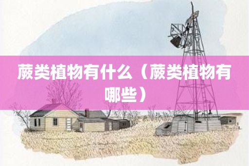 蕨类植物有什么(蕨类植物有哪些)