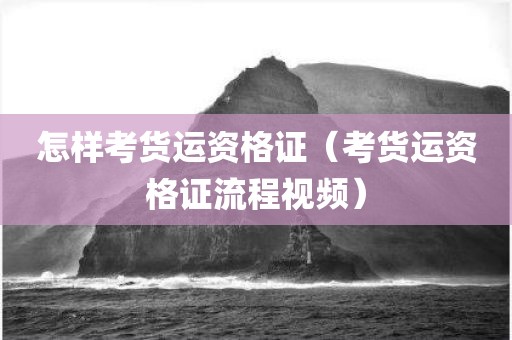 怎样考货运资格证（考货运资格证流程视频）