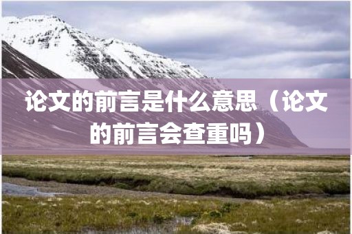 论文的前言是什么意思(论文的前言会查重吗)