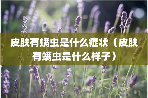 皮肤有螨虫是什么症状（皮肤有螨虫是什么样子）