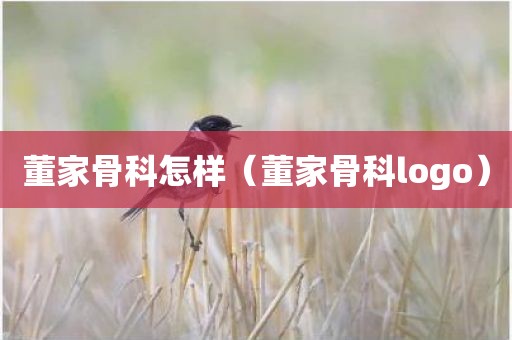 董家骨科怎样（董家骨科logo）