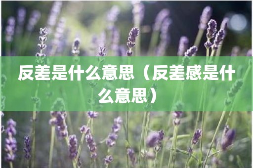 反差是什么意思（反差感是什么意思）