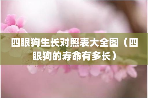 四眼狗生长对照表大全图（四眼狗的寿命有多长）