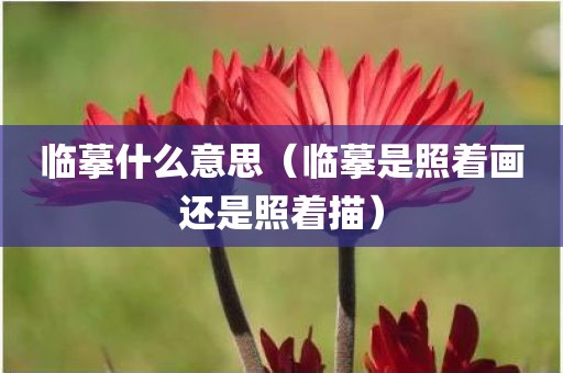 临摹什么意思（临摹是照着画还是照着描）