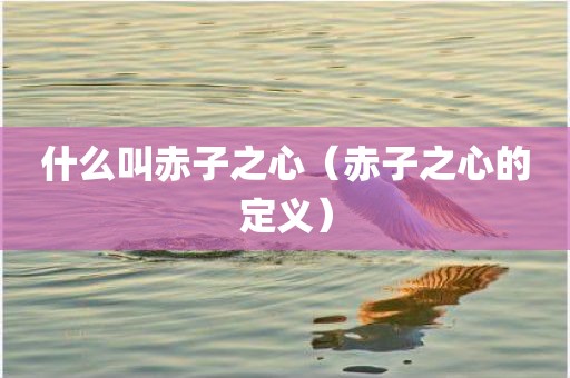 什么叫赤子之心（赤子之心的定义）
