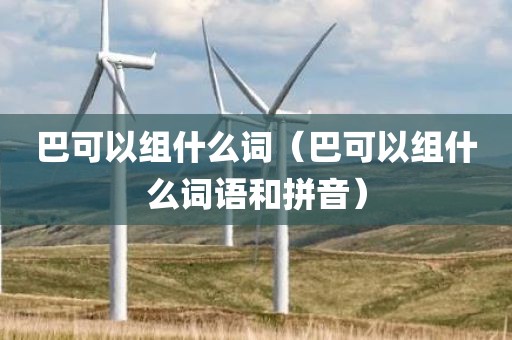 巴可以组什么词（巴可以组什么词语和拼音）