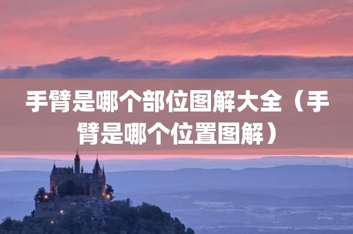手臂是哪个部位图解大全（手臂是哪个位置图解）