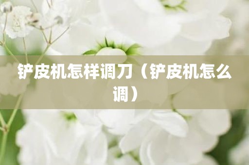 铲皮机怎样调刀（铲皮机怎么调）