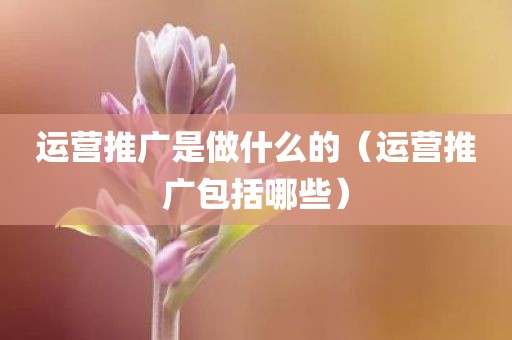 运营推广是做什么的（运营推广包括哪些）