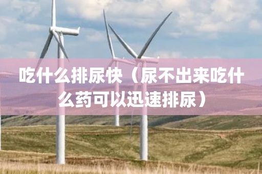 吃什么排尿快（尿不出来吃什么药可以迅速排尿）