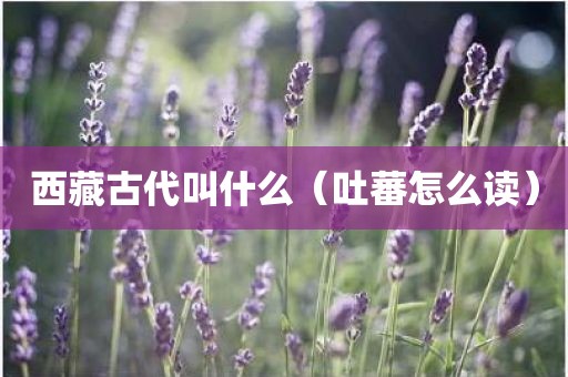西藏古代叫什么（吐蕃怎么读）