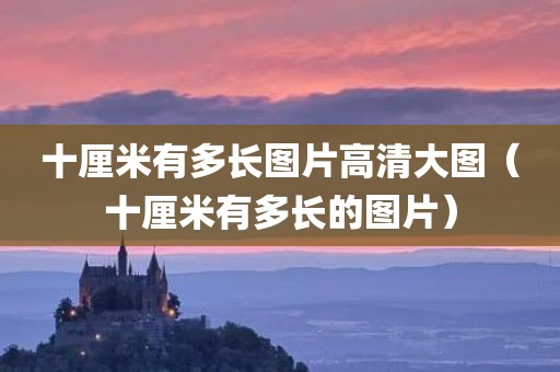 十厘米有多长图片高清大图(十厘米有多长的图片)