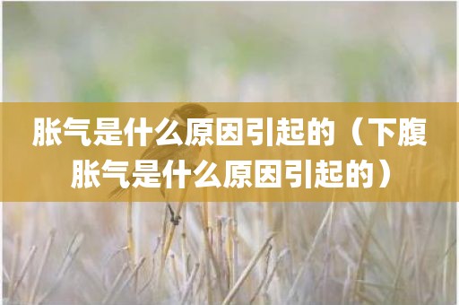 胀气是什么原因引起的（下腹胀气是什么原因引起的）