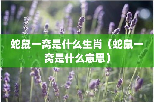 蛇鼠一窝是什么生肖(蛇鼠一窝是什么意思)