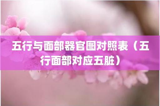 五行与面部器官图对照表（五行面部对应五脏）