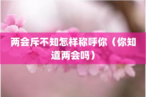 两会斥不知怎样称呼你（你知道两会吗）