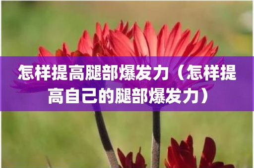 怎样提高腿部爆发力（怎样提高自己的腿部爆发力）