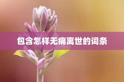 包含怎样无痛离世的词条