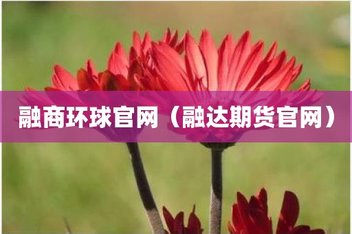 融商环球官网(融达期货官网)