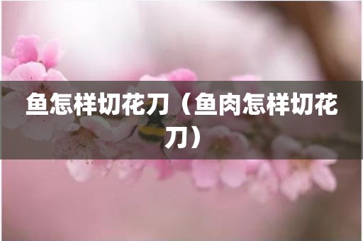 鱼怎样切花刀（鱼肉怎样切花刀）