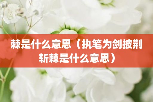 棘是什么意思（执笔为剑披荆斩棘是什么意思）