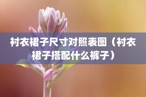 衬衣裙子尺寸对照表图（衬衣裙子搭配什么裤子）